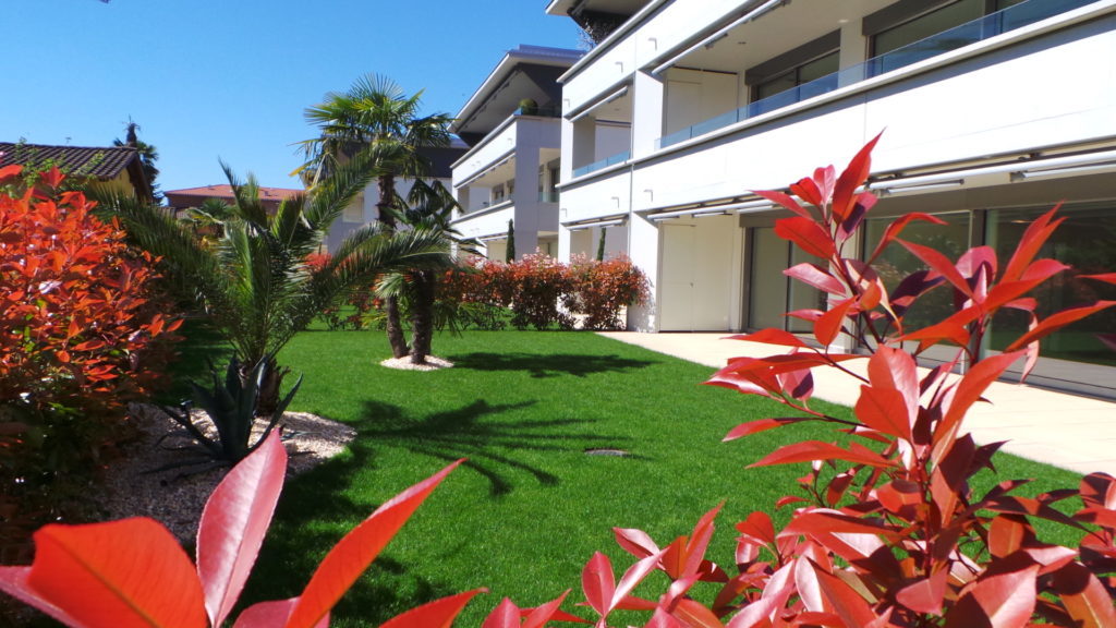 Palm trees framing a modern villa courtyard
