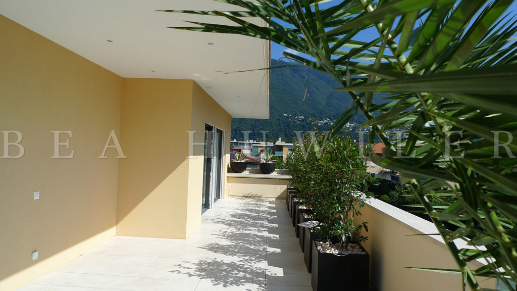 Tall palm tree beside a villa facade