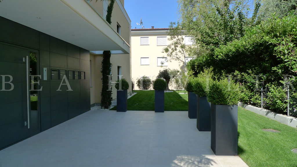Nighttime view with illuminated palms