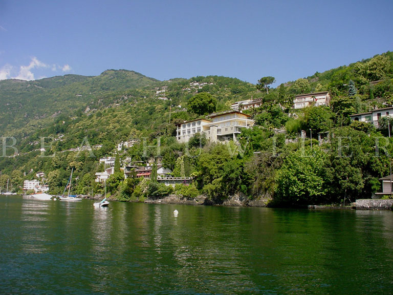 Palm-lined lakeside promenade